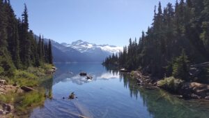 PPAサービスのプランと料金について知りたいことは？