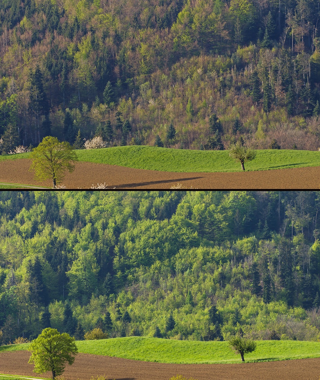 CO2削減に向けた太陽光PPAの活用方法は？