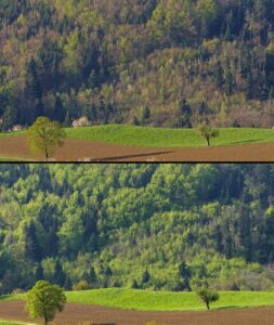 CO2削減に貢献する太陽光PPAの仕組みとは？