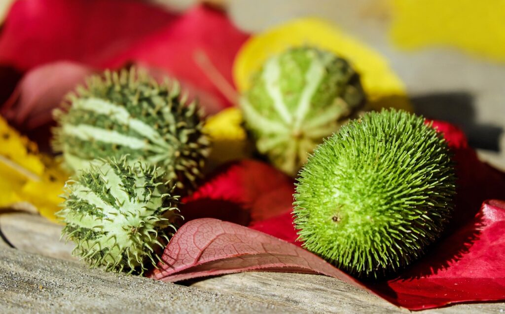 工場における自家消費型太陽光PPAのメリットとは？