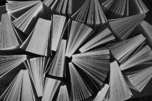 PPA助成の申請方法を詳しく解説しますか？