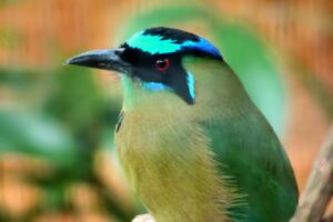 PPAソーラーを導入した企業の成功例は？