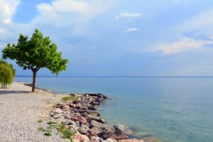 PPAモデルの初期費用がなしで始めるメリットとは？