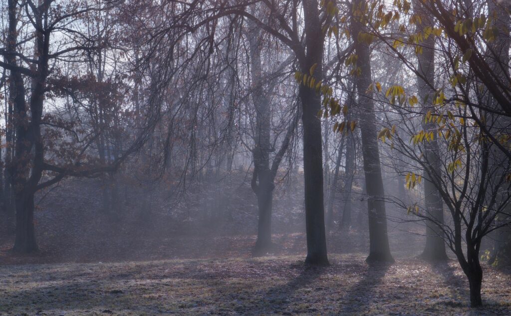 太陽光発電の初期費用を負担なしで導入する方法は？