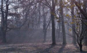 太陽光発電の初期費用を負担なしで導入する方法は？