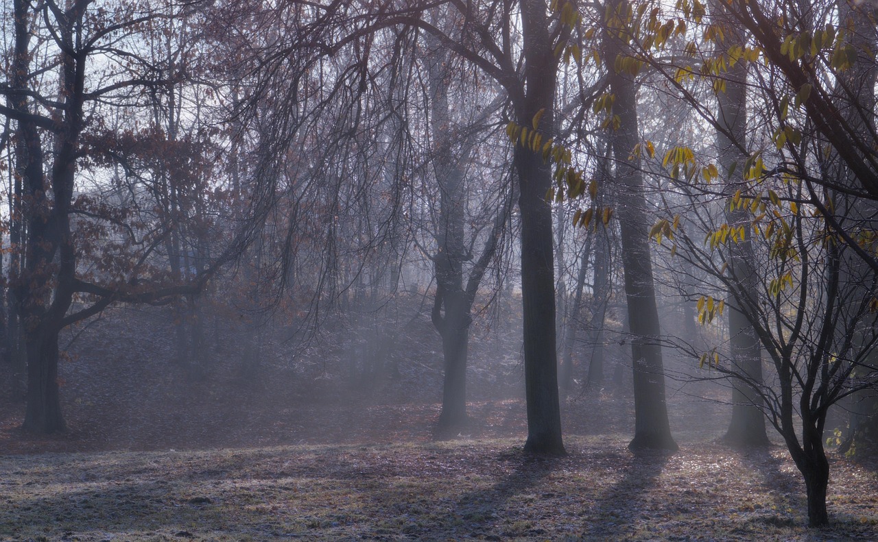 太陽光発電の初期費用を負担なしで導入する方法は？