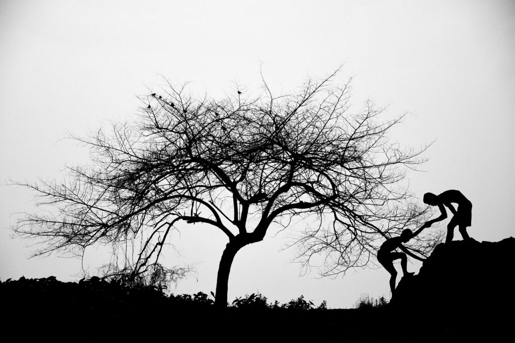 PPAソーラーの成功事例から学ぶ最適な導入方法は？