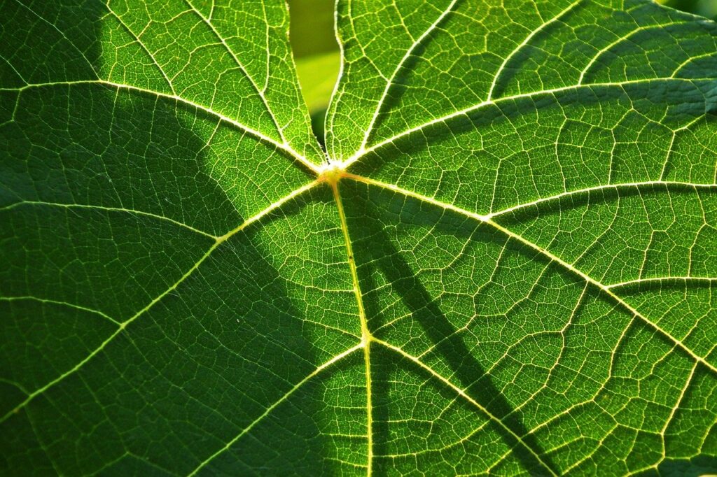 PPAを利用した太陽光で電気代が安くなる方法は？